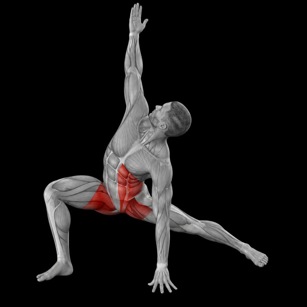 World Greatest Stretch anatomy plate